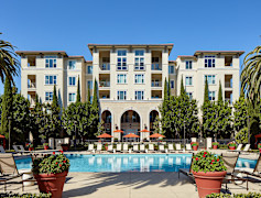 San Jose Ca Apartments For Rent 1180 Apartments Rent Com