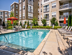 Boston Ma Pet Friendly Apartments For Rent 357 Apartments Rent Com