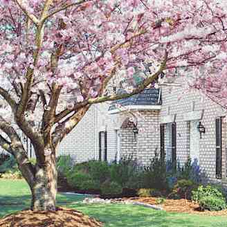Old Donation 4441 East Honeygrove Court Virginia Beach