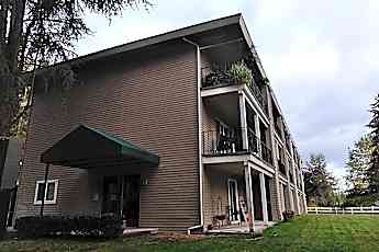 Newcastle Wa 1 Bedroom Apartments For Rent 324 Apartments Rent Com