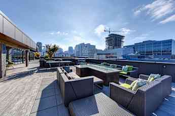 Seattle Wa Pet Friendly Apartments For Rent 585 Apartments Rent Com