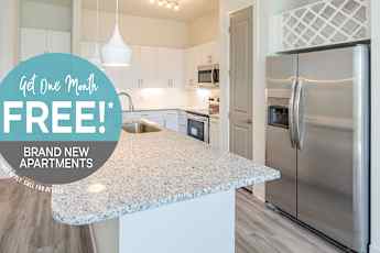 Jacksonville Fl Apartments For Rent 555 Apartments Rent Com