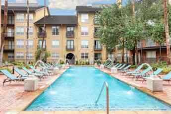 Texas Southern University Tx Apartments For Rent 441 Apartments Rent Com