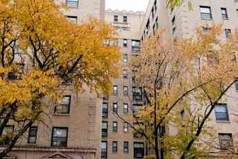 Gold Coast Apartments For Rent Chicago Il Rentals Rent Com