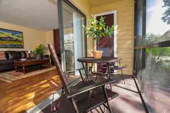 Melbourne Village Fl 2 Bedroom Apartments For Rent 45 Apartments Rent Com