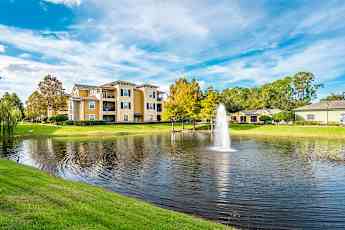 Daytona Beach Fl Apartments For Rent 115 Apartments Rent Com