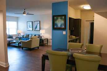 Hollywood Fl Apartments For Rent 930 Apartments Rent Com