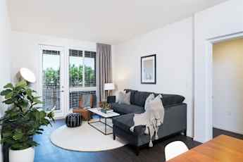 Little Tokyo Apartments For Rent Los Angeles Ca Rent Com
