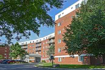 Syracuse Ny Apartments For Rent 290 Apartments Rent Com