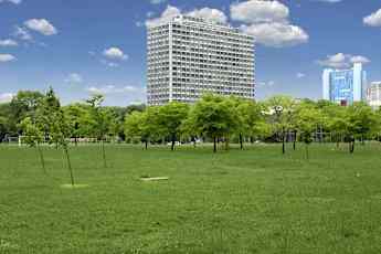 Detroit Mi Apartments For Rent 1136 Apartments Rent Com