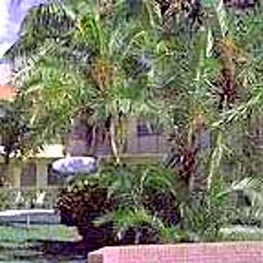 Pompano Gardens 335 Nw 34th Street Pompano Beach Fl Apartments For Rent Rent Com