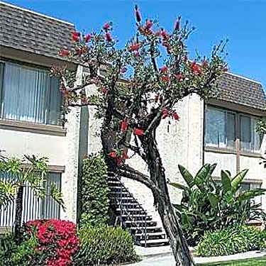 Huntington Pointe 18992 Florida St Huntington Beach Ca Apartments For Rent Rent Com