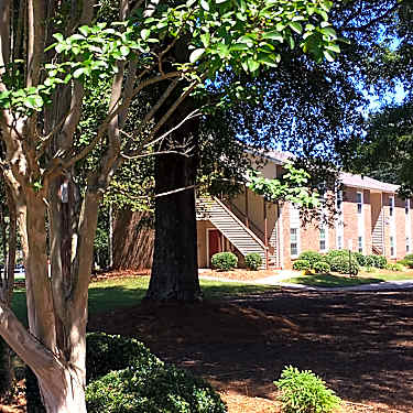 Sandalwood Court Ii Apartments 717 Sandalwood Ct Newton Nc Apartments For Rent Rent Com