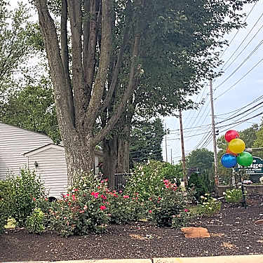 Pine Ridge Mobile Home Park 6610 Lear Nagle Rd North Ridgeville Oh Apartments For Rent Rent Com