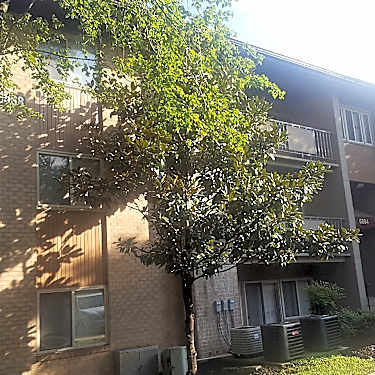 Chestnut Ridge 6872 Riverdale Rd Lanham Md Apartments For Rent Rent Com