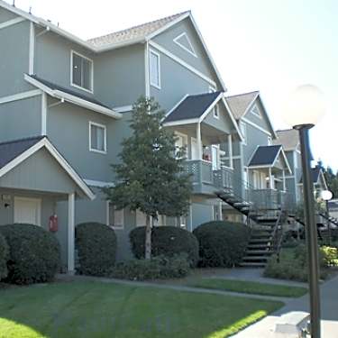 Willow Creek Apartments 611 Enterprise Drive Rohnert Park Ca Apartments For Rent Rent Com