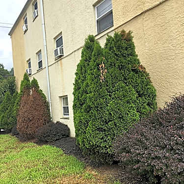 Forrest View Apartments 711 Forrest St Conshohocken Pa