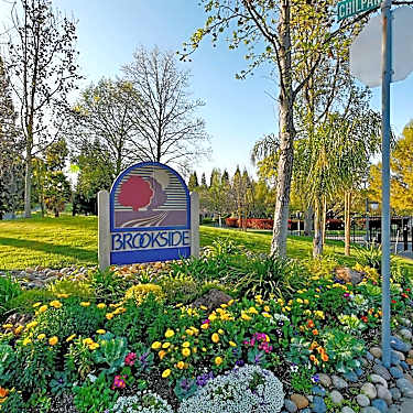 Brookside 501 Ryan Drive Pleasant Hill Ca Apartments For Rent Rent Com