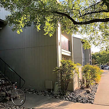 Sequoia 2255 Sycamore Ln Davis Ca Apartments For Rent Rent Com