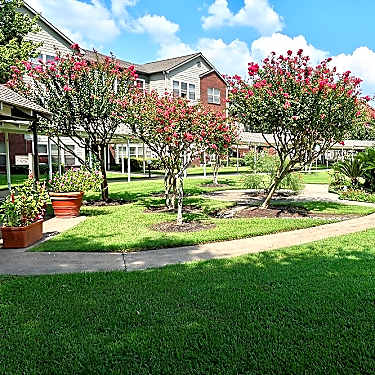 Lone Star Living Senior Living 10680 Westbrae Pkwy Houston Tx Apartments For Rent Rent Com
