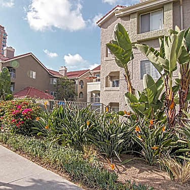 Axiom La Jolla 3950 Mahalia Avenue San Diego Ca Apartments For Rent Rent Com