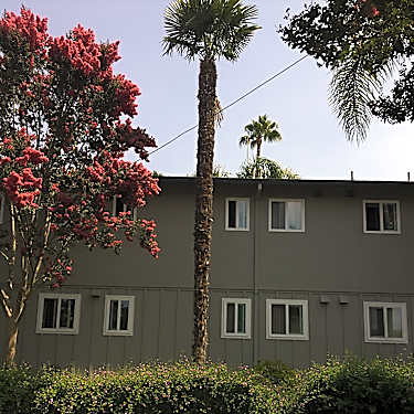 Carriage House Apartments 1655 Pomeroy Ave Santa Clara Ca Apartments For Rent Rent Com