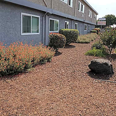 Courtyard Plaza 2950 Story Rd San Jose Ca Apartments For Rent