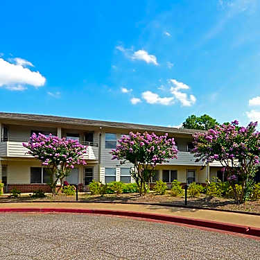 Feels Like Home Senior Living 3393 Kirby Rd Memphis Tn Apartments For Rent Rent Com
