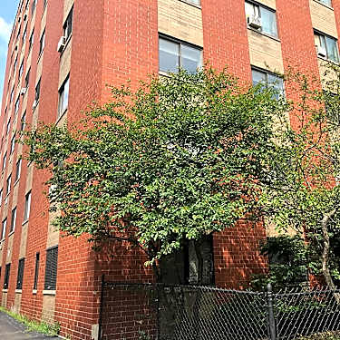 Michigan Towers 3812 S Michigan Ave Chicago Il Apartments For Rent Rent Com