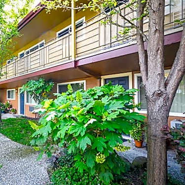 Park Lafayette 3366 Mount Diablo Blvd Lafayette Ca Apartments For Rent Rent Com