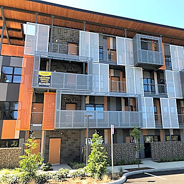 Sunshine Portland 3650 Se 29th Ave Portland Or Apartments For Rent Rent Com