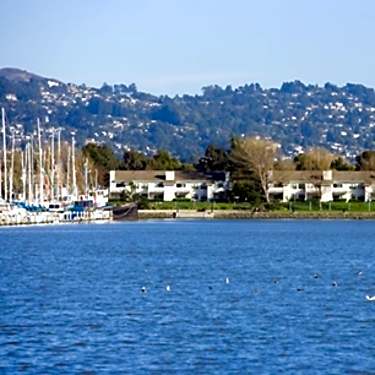 Shores At Marina Bay 1 Shoreline Ct Richmond Ca Apartments For Rent Rent Com