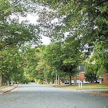 Ivy Garden 100 Ivy Drive Charlottesville Va Apartments For Rent Rent Com