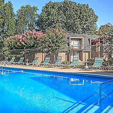 Patrician Terrace 1585 Hollywood Drive Jackson Tn Apartments For Rent Rent Com