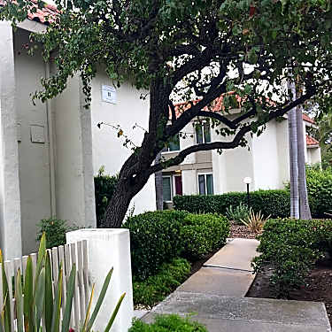 Rancho Apts 170 Old Mill Rd Santa Barbara Ca Apartments For