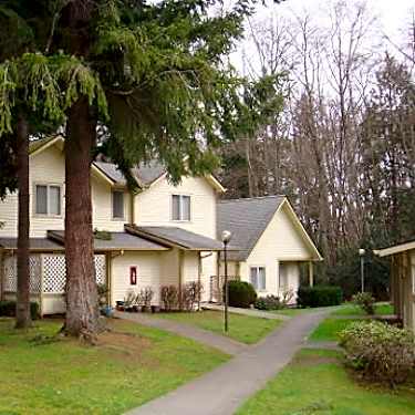 Saratoga Terrace 350 Manchester Way Langley Wa Apartments For Rent Rent Com
