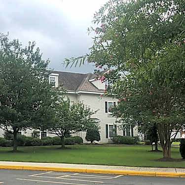 Lakeside At Mallard Landing By Discovery Senior Living 1109 S Schumaker Dr Salisbury Md Apartments For Rent Rent Com