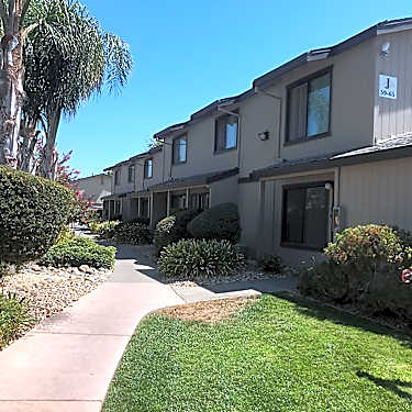 Almondwood Apartments 1212 Alvarado Ave Davis Ca Apartments For Rent Rent Com