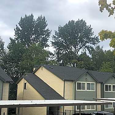 Grande Terrace Apartments 15830 39th Pl S Tukwila Wa
