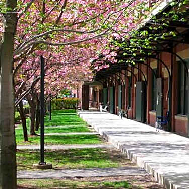 Heywood Wakefield Place 194 Central Street Gardner Ma Apartments For Rent Rent Com