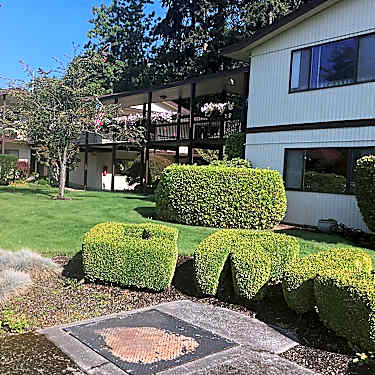 Crista Senior Living 19303 Fremont Ave N Shoreline Wa Apartments For Rent Rent Com