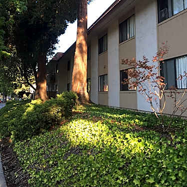 Charter Court 1200 Ranchero Way San Jose Ca Apartments For Rent Rent Com