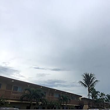 Pompano Gardens Apartments 610 Nw 7th Ave Pompano Beach Fl Apartments For Rent Rent Com