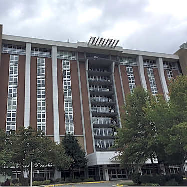 Charlottetown Terrace 1000 Baxter St Charlotte Nc Apartments For Rent Rent Com