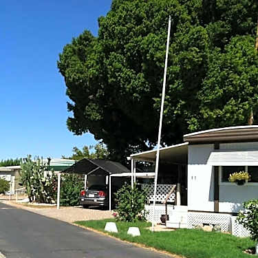 Shady Acres Manufactured Home Rv Park Community 1340 W Third Street Yuma Az Apartments For Rent Rent Com