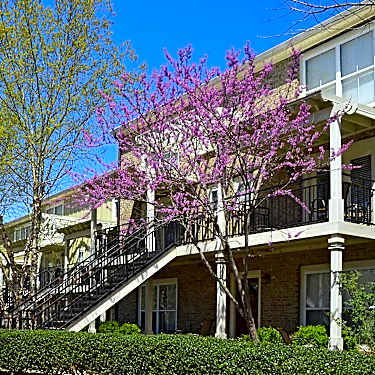 Woodlands Of Athens 490 Barnett Shoals Road Athens Ga Condo For Rent Rent Com