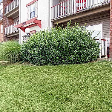 Summer Ridge 1829 Belle Haven Drive Landover Md Apartments For Rent Rent Com