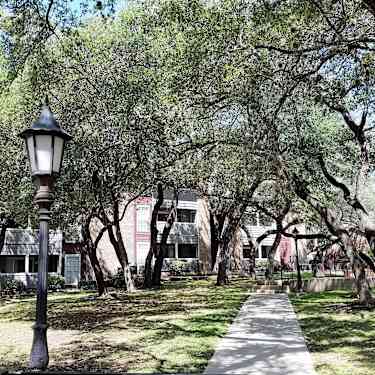 Silver Oaks 7585 Ingram Road San Antonio Tx Apartments For
