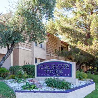 Carob Tree 9202 N 19th Ave Phoenix Az Apartments For Rent Rent Com