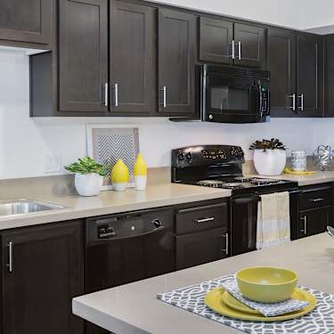 Apex 1102 S Abel St Milpitas Ca Apartments For Rent Rent Com